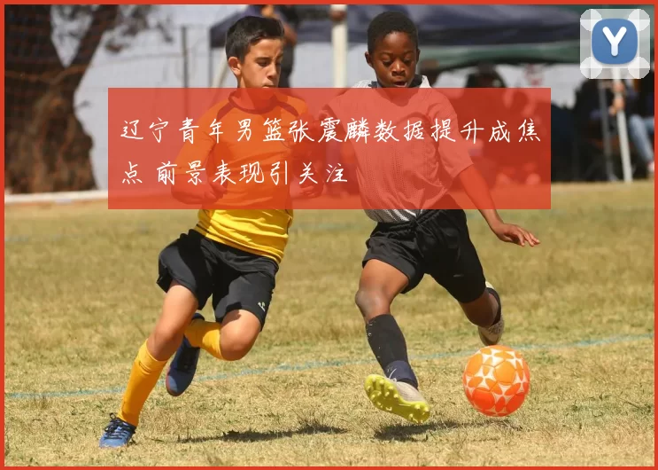 辽宁青年男篮张震麟数据提升成焦点 前景表现引关注