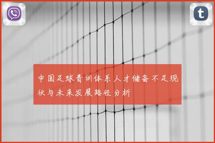 中国足球青训体系人才储备不足现状与未来发展路径分析