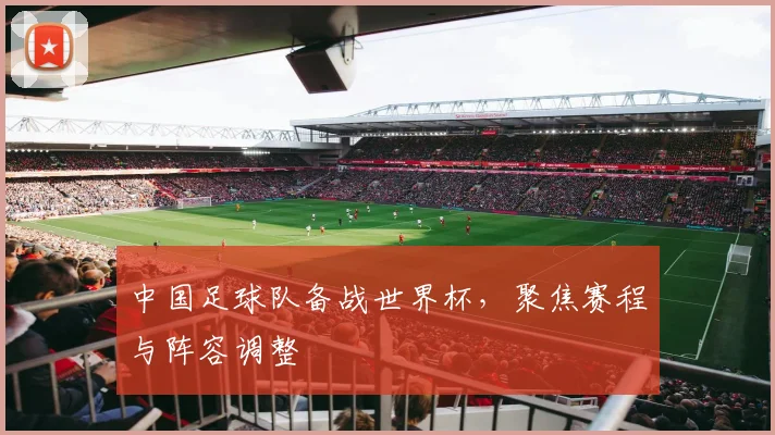 中国足球队备战世界杯，聚焦赛程与阵容调整