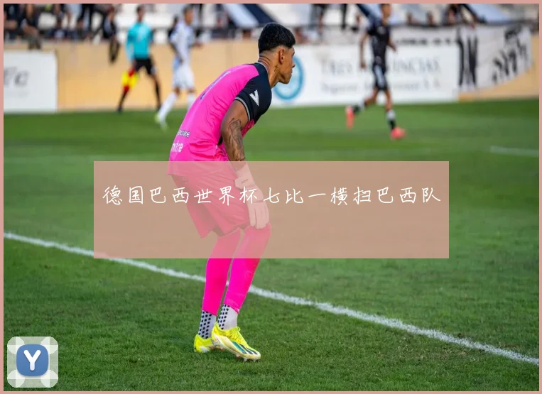 德国巴西世界杯七比一横扫巴西队